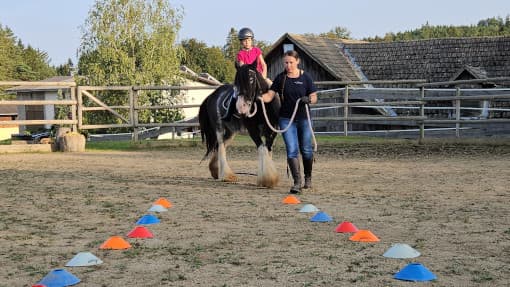 Romana_Shakira_Lerntraining_Reitplatz02_510