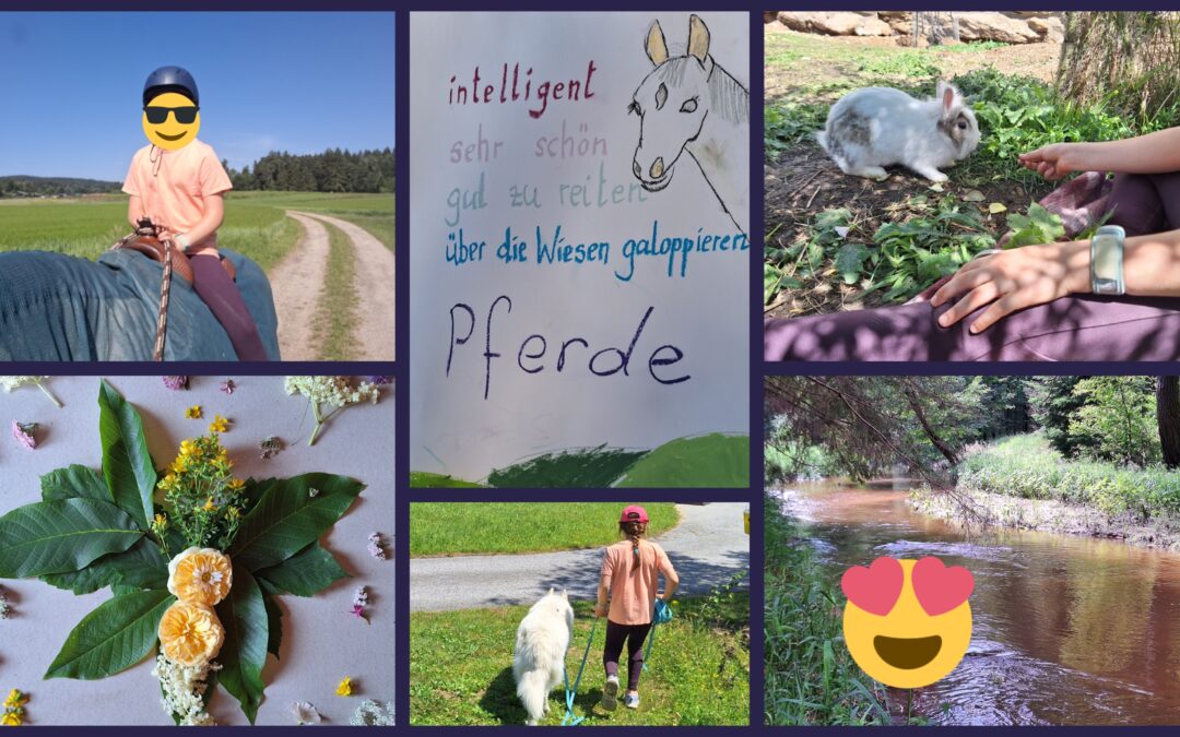 Intensivkurs zu den Themen Konzentration und Fokus, naturpädagogisch und tiergestützt